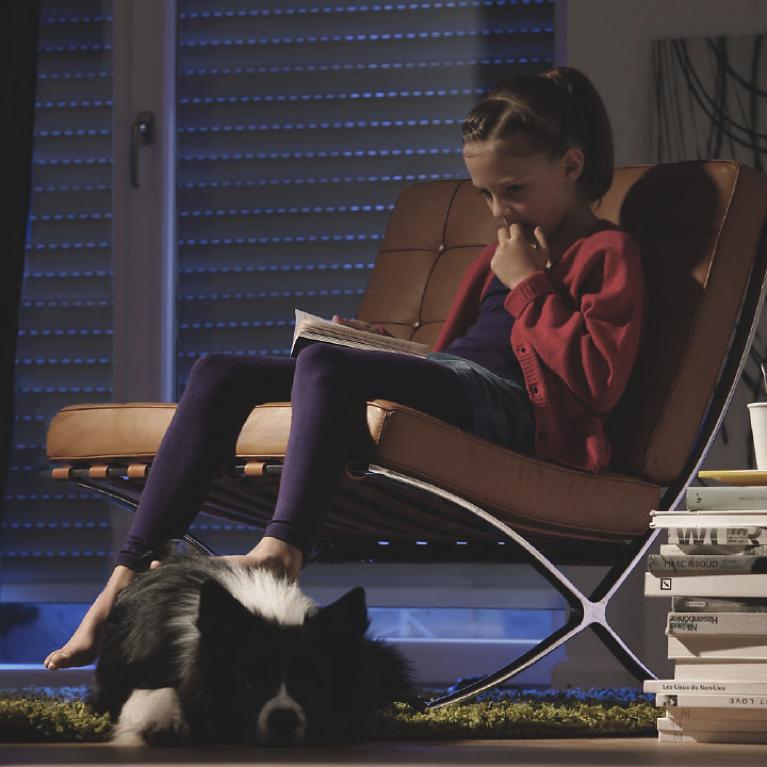 Children reads book on armchair with closed roller shutters and dog