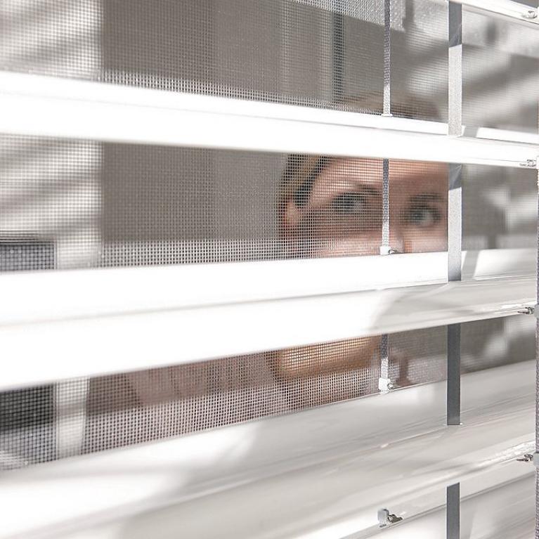 Exterior view, woman looks through window with insect screen, external venetian blinds, tilting function 90°