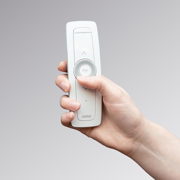 Image hand with remote control