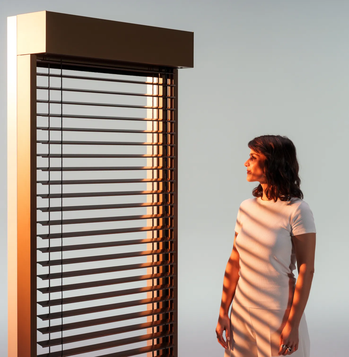 Caisson de brise-soleil de ROMA